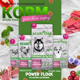 Корм Power Flock Beef/Lamb для собак Акари Киар